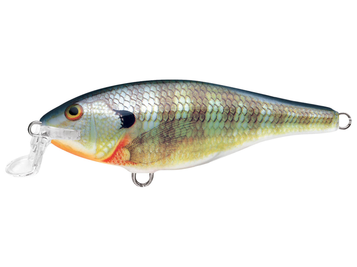 Leurre Rapala Shad Rap Peu Profond SSR05/S – Flottant, 50mm, Pour Bass, Neuf