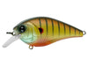 6th Sense Fishing Crush 50X Squarebill Crankbait Spring Bluegill