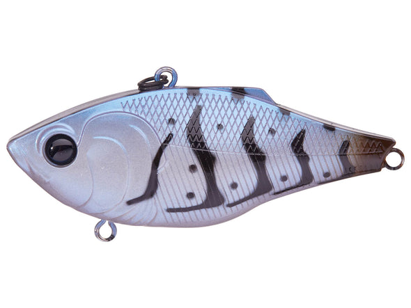6th Sense Fishing Quake Sapphire Blue