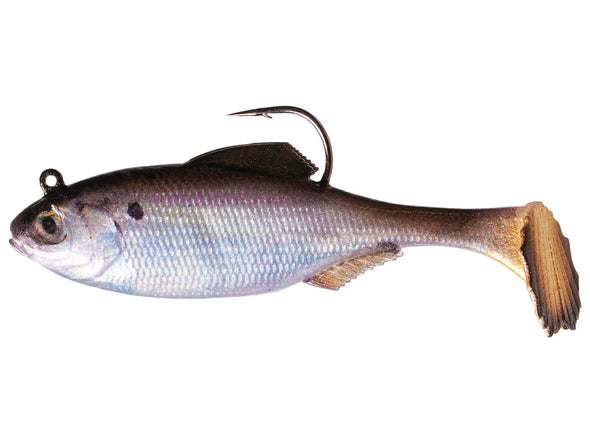 6th Sense Rigged Panorama Live Gizzard Shad