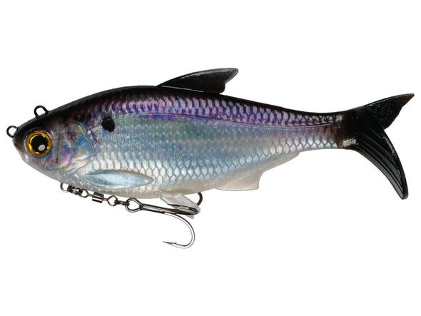 6th Sense The Option Live Gizzard