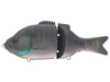 Baitsanity Explorer Gill Glide Bait