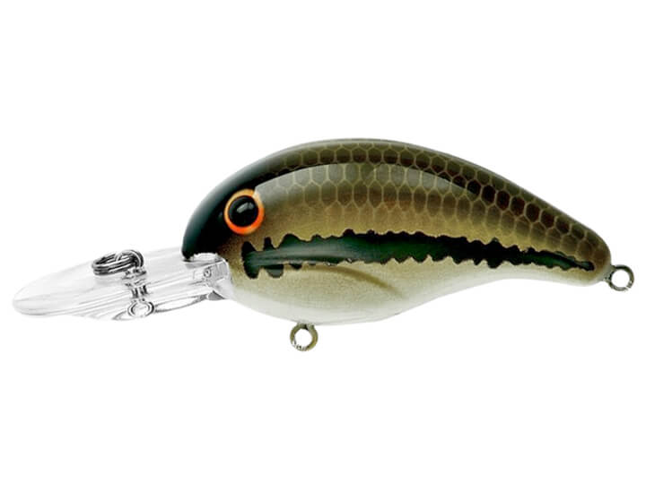 Bandit 200 Series Baby Bass Bandit 200 Series Baby Bass