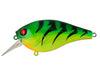 Berkley SquareBull Firetiger