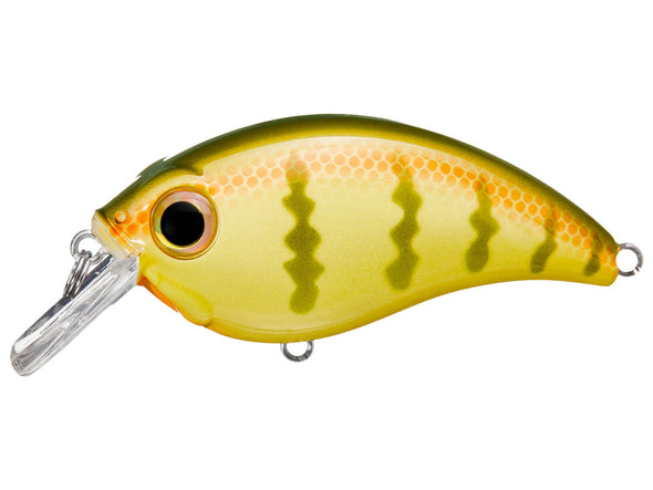 Bill Lewis ATV Squarebill 1.5 Crankbait