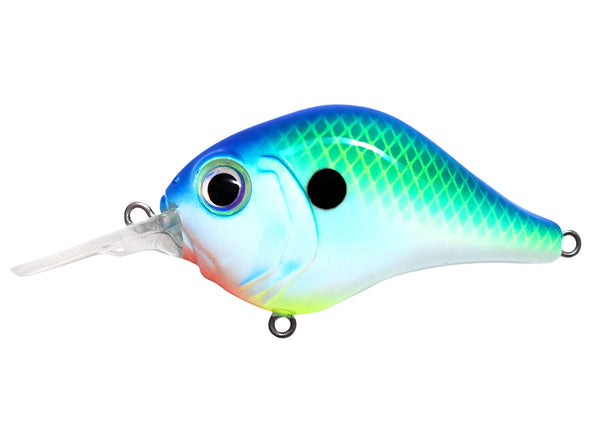 Bill Lewis MR-6 Citrus Shad