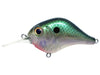 Bill Lewis MR-6 Green Gizzard Shad