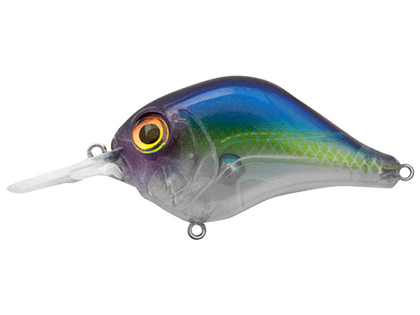 Bill Lewis MR-6 Pro Blue