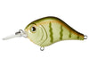 Bill Lewis MR-6 Crankbait School Bus