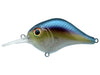 Bill Lewis MR-6 Threadfin Shad