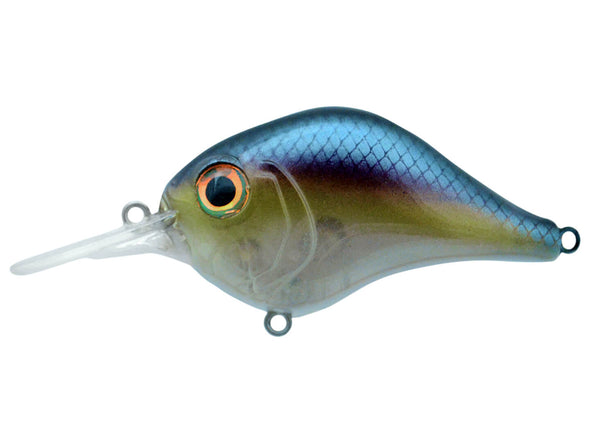 Bill Lewis MR-6 Threadfin Shad