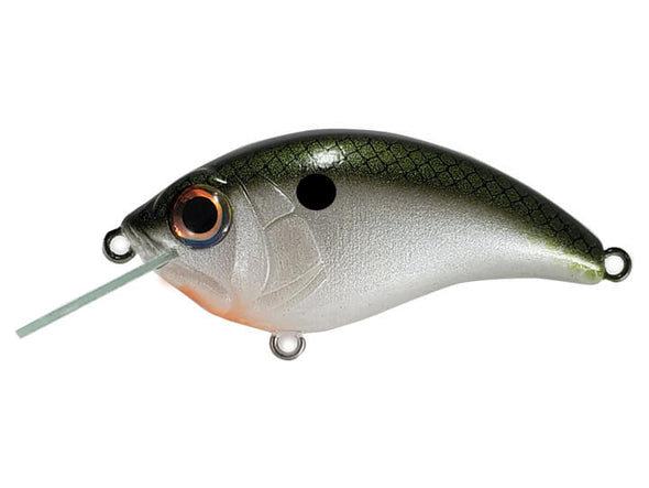 Bill Lewis SB-57 Squarebill Crankbait Tennessee Shad