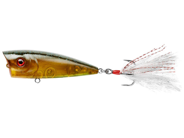 Booyah Boss Pop Summer Gill