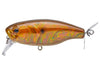 Deps Buzzjet Jr. Wakebait Aurora Gold