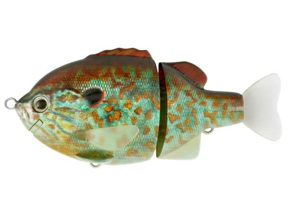 Deps Tiny Bullshooter Pumpkin Seed