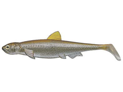 Evergreen Last Ace 140 Line Thru Swimbait Ayu