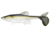 Little Creeper All American Trash Fish 8 Swimbait Blueback Herring Tucked Out