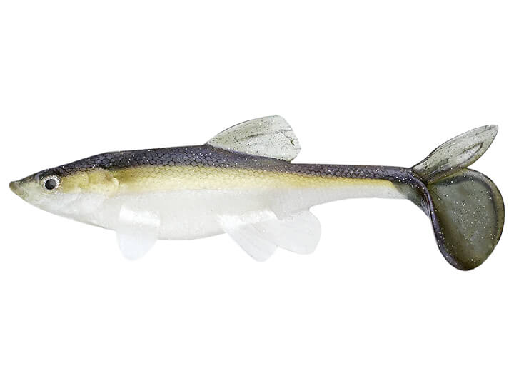 Little Creeper All American Trash Fish Swimbait 8 Little Creeper All American Trash Fish Swimbait 8