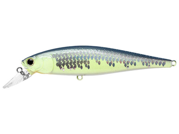 Lucky Craft Pointer 100SP Jerkbait  MS Crack