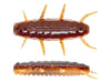 Mule Fishing Bluegrass Bug Ranch Hand