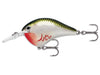 Rapala DT Series Bleeding Olive Shiner