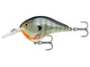 Rapala DT Bluegill