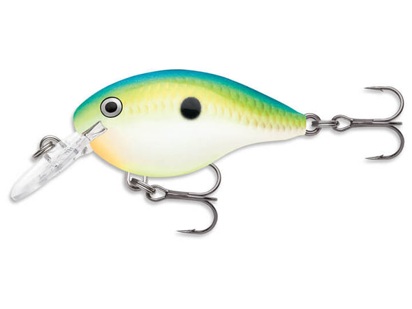 Rapala DT Series Citrus Shad