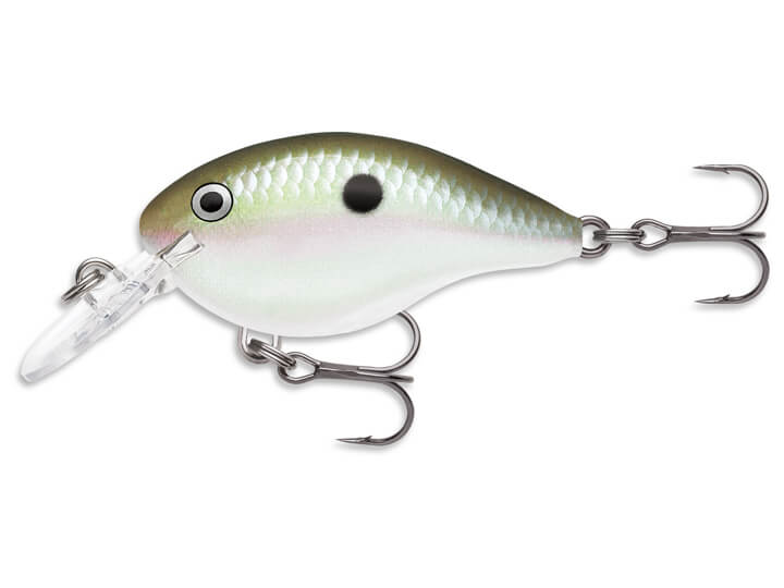 DRT CALT LAKE カルトレイク XL CVLT LAKE | B-FARM Blog