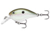 Rapala DT Series Gizzard Shad