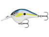 Rapala DT Helsinki Shad