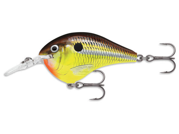 Rapala DT Hot Mustard