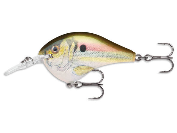 Rapala DT-14 Crankbaits