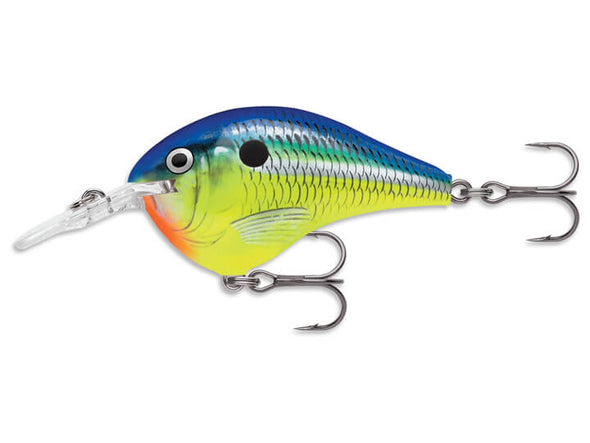 Rapala DT Parrot
