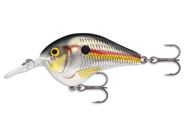 Rapala DT Series Shad
