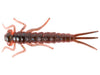 Rebel Creek Creature Water Bug