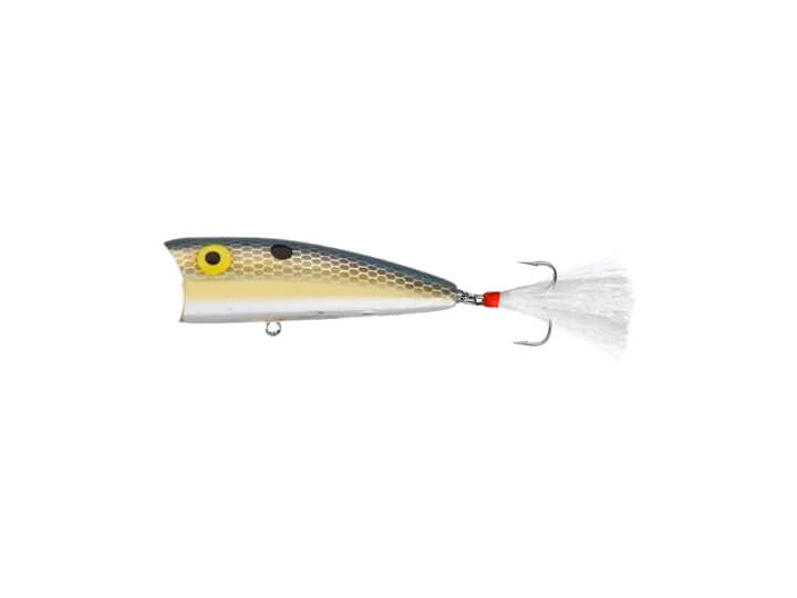 thumbnail image 2 of Rebel Lures Pop-R Topwater Popper Fishing Lure 2 of 12