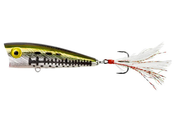 Rebel Pop-R Ol Bass
