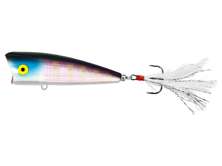 brush popper fishing lures CAST PTYD Lure Bonafide Realistic bait with popper and pencil action Saltys 3.5 Oz Pencil Popper