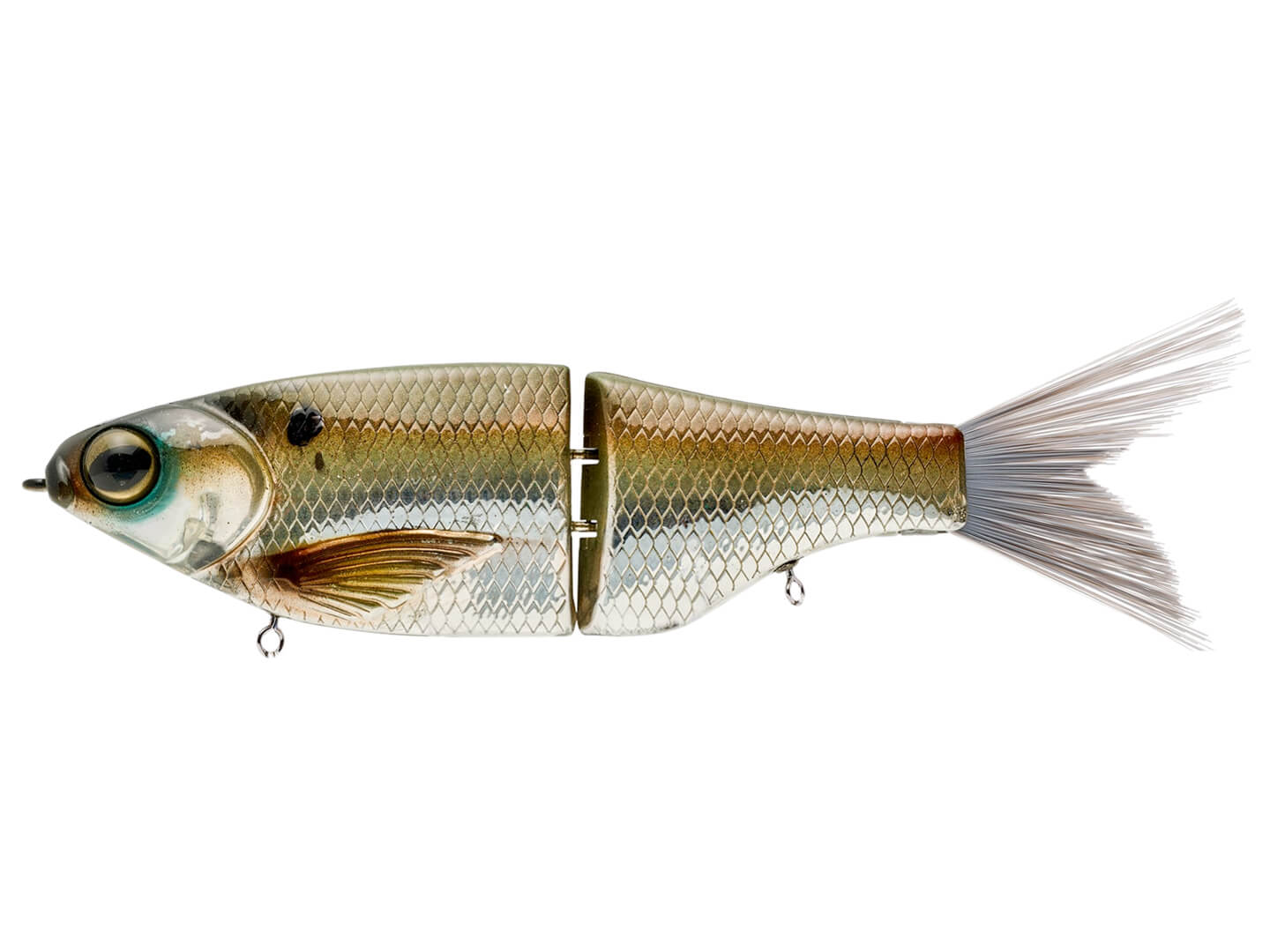 arkansas chads fishing lure KGB Chad Shad 180 Native Chrome