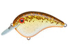 Strike King Chick Magnet Crankbait Jr Rootbeer