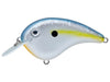 Strike King Chick Magnet Crankbait Jr Sexy Shad