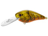 Strike King Gravel Dawg 10 Crankbait Green Phantom