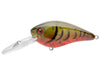 Strike King Gravel Dawg 10 Crankbait Phantom Watermelon Red Craw