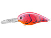 Strike King KVD Flat Side Demon Craw