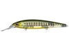 Strike King KVD Deep Jerkbait Phantom Perch