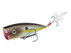 Strike King KVD Splash Summer Sexy Shad