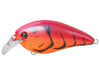 Strike King KVD Square Bill 1.5 Demon Craw