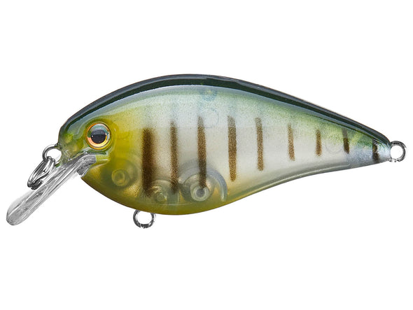 Strike King KVD Square Bill 1.5 Phantom Perch