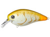 Strike King KVD Square Bill 4.0 Bone Craw