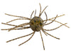 Strike King Tumbleweed Green Pumpkin